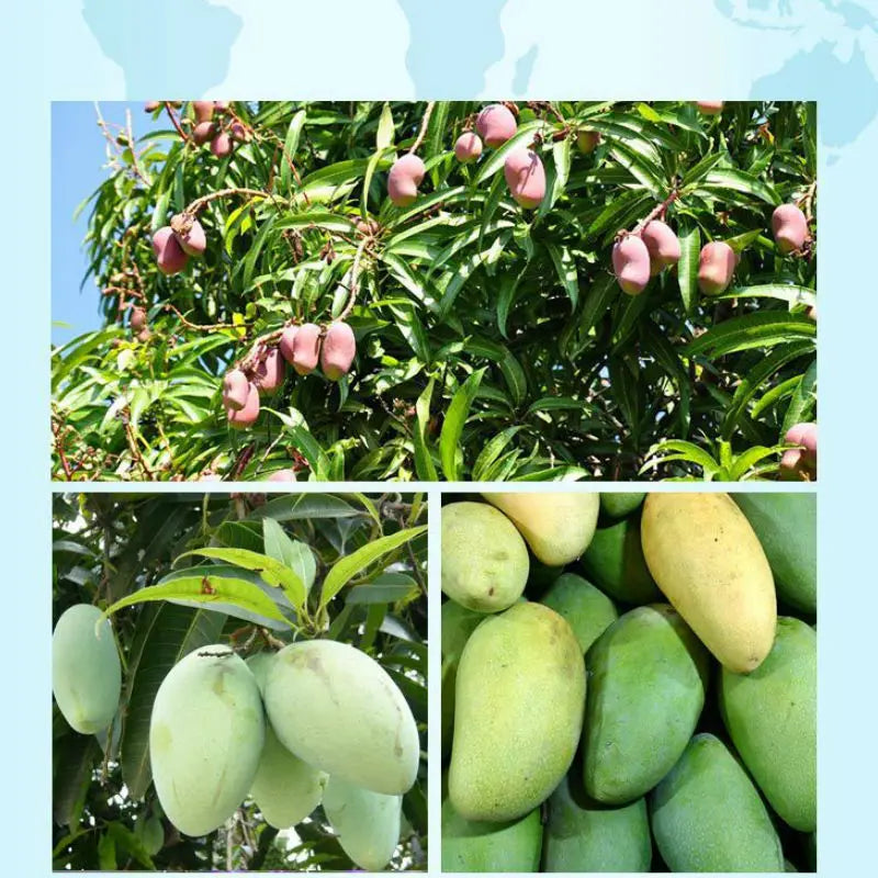 He0ba7df6c71547de86e7c1208a898fee4